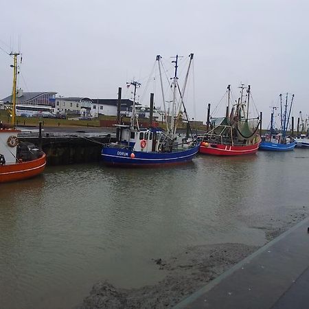 Nordsee Und Natur. Gemuetliche Fewo Mit Deichblick โดรุมนอยเฟลด์ ภายนอก รูปภาพ
